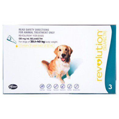 revolution puppy revolution 20 1 40 kg teal revolution puppy revolution 20 1 40 kg teal