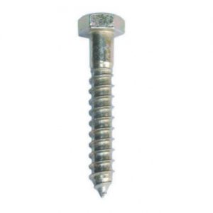 Coach Screw 12mmx100mm