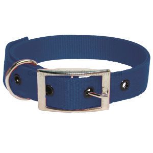 Goat Collar Nylon Doe Blue