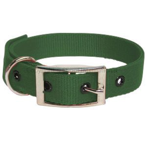 Goat Collar Nylon Doe Green