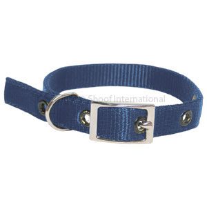 Goat Collar Nylon Kid Blue