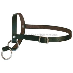 Halter Leather Calf Leading Black