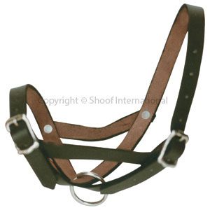 Halter Leather Calf Tethering Black