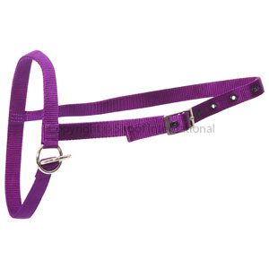 Halter Nylon Calf Tethering Black