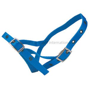 Halter Nylon Calf Tethering Blue