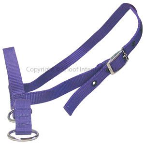 Halter Nylon Calf Tethering Purple