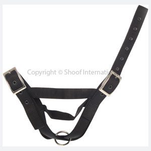 Halter Nylon Cow Tethering Black