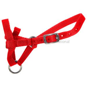 Halter Webbing Alpaca Medium Red