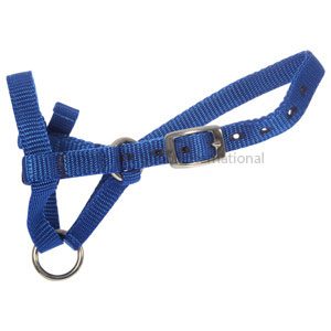 Halter Webbing Alpaca Small Red