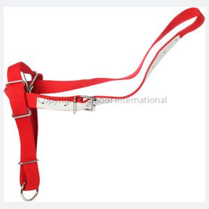 Halter Webbing Cow Red