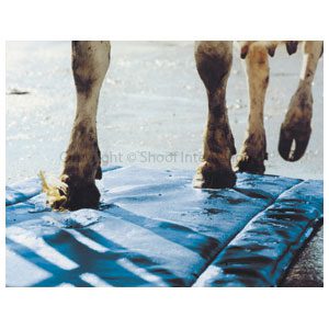 Hoofmat Shoof Premium Blue