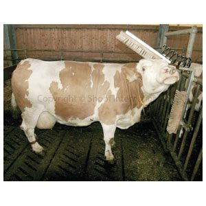 Scratch Brush Kerbl Cattle cpt