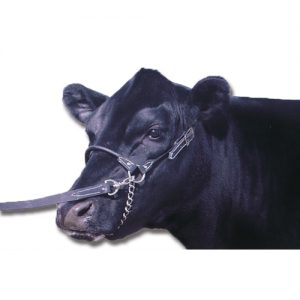 Leather Show Halter with Lead Large (Black)