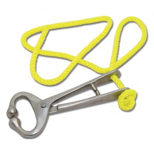 Bull Lead - Rope Type