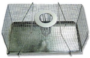 Mouse Trap Top Entry - Large (30cm)