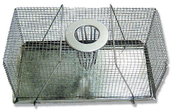 Mouse Trap Top Entry – Small (18cm)