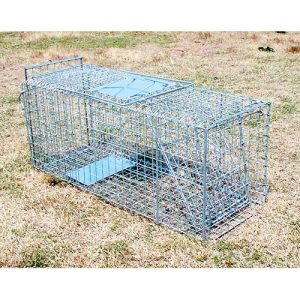 Cage Trap - Collapsible 66cm
