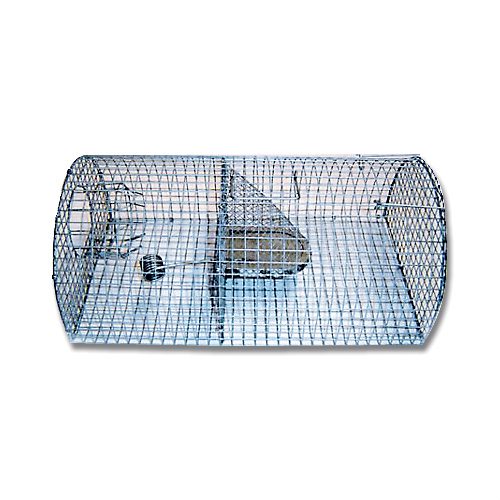 Wire Rodent Catch Door Trap (Multi Catch) – Mouse