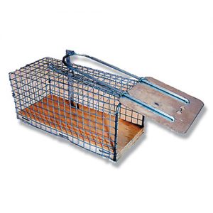 Mouse Trap Cage - 11.5cm