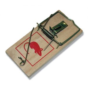 Rat Wood Trap