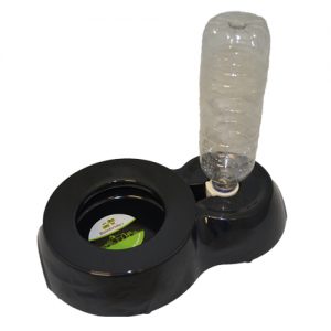 Water Fountain