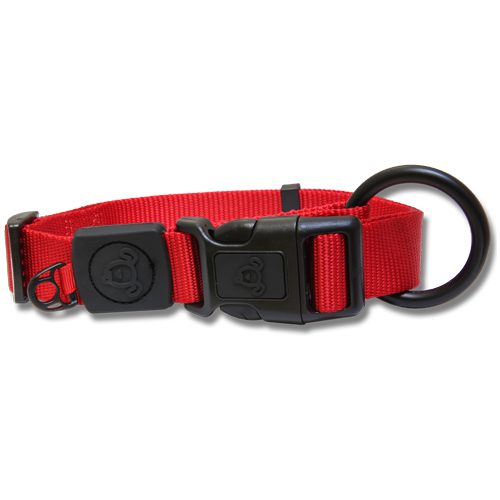 Dog Collar Brands Australia Dog Collar Brands Australia