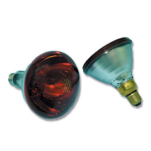 Infrared Heating Bulb (Phillips)