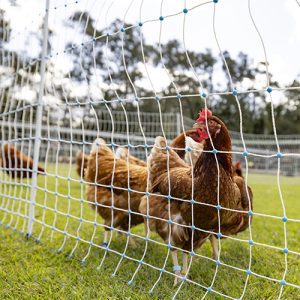 Poultry Netting - Electric - Premium - 106cm x 50m