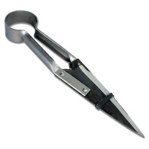 Due Buoi Shears - 29cm Straight (13cm Blade)