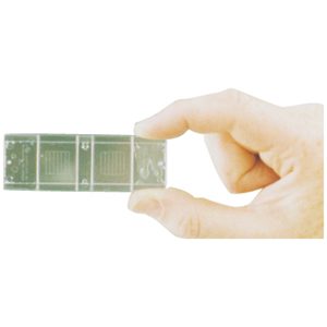 Microscope Slide McMaster plain grid