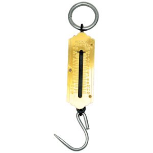 Scale Spring Balance 10kg