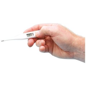Thermometer Digital Small Animal