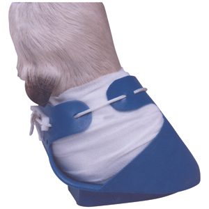 Cattle Shoof Blue Right Elevated - Medium