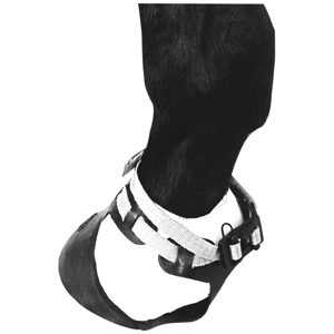 Horse Shoof Size 3