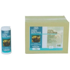 Antiseptic Dusting Powder 200gmX