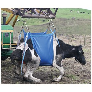 Daisy Lifter XLarge (Red) cpt
