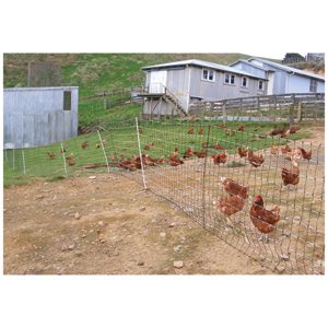 Poultry Netting Electric (Orange) 50m