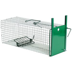 Trap Feral Cat & Possum