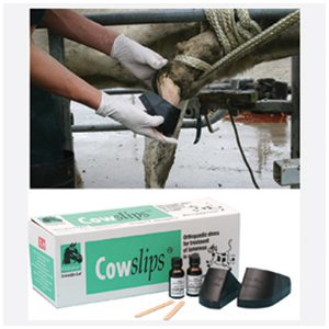 Cowslips Original Mixed L+R 10-pack