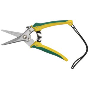 Footrot Shear Aussie