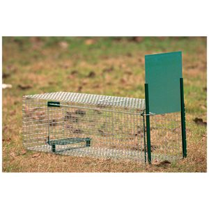 Trap Fox Live Bait