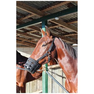 Horse Muzzle Kerbl Pony