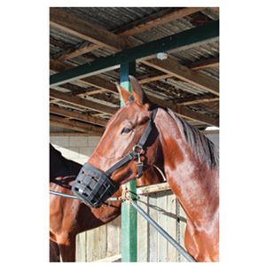 Horse Muzzle Kerbl Full Size