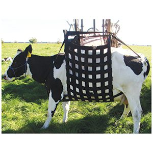 Cow Lifter Liftease cpt