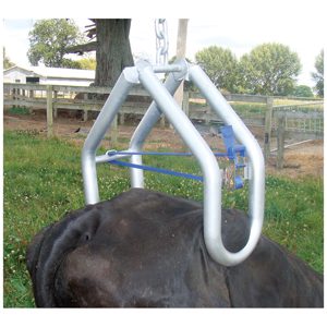 Cow Lifter Shoof Quick-Lift cpt