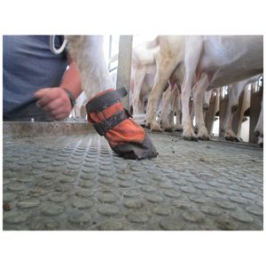 Goat Boot Rugged Sml (57mm) each