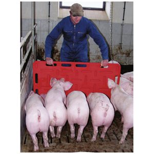 Pig Sorting Board Red 126cm x 76cm
