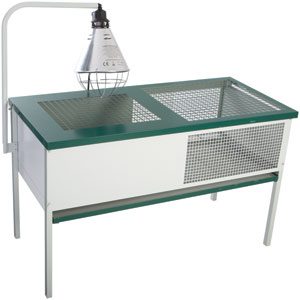 Brooder Cage Lifestyle