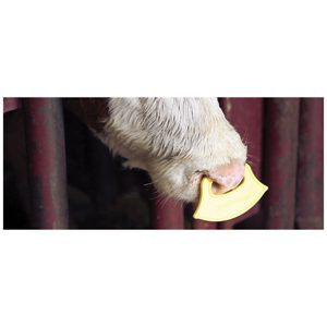 Calf Weaner QuietWean 25-pack