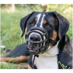 Dog Muzzle Baskerville Ultra Sz2